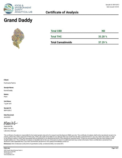 Grand Daddy