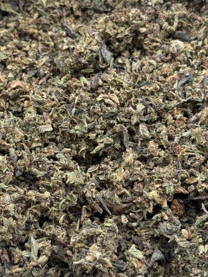 Gucci Lace #203 Shake