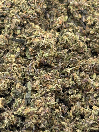 Gucci Lace #203 Shake