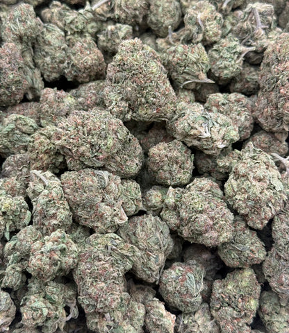 Gucci #380
