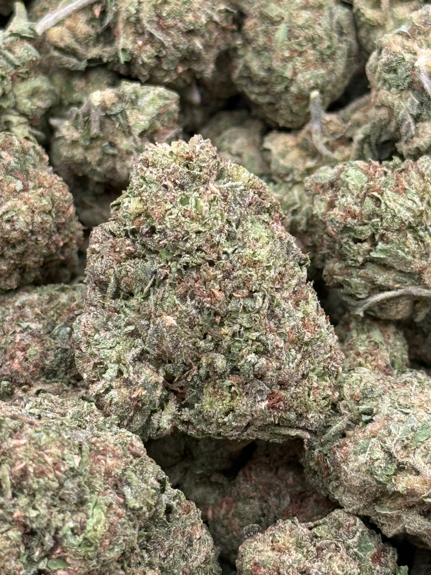 Gucci #380