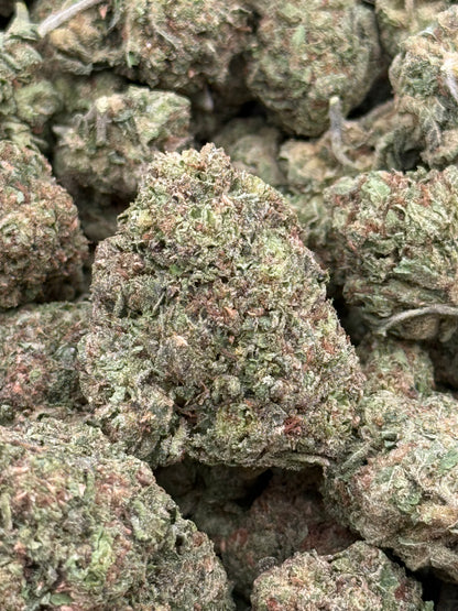 Gucci #380