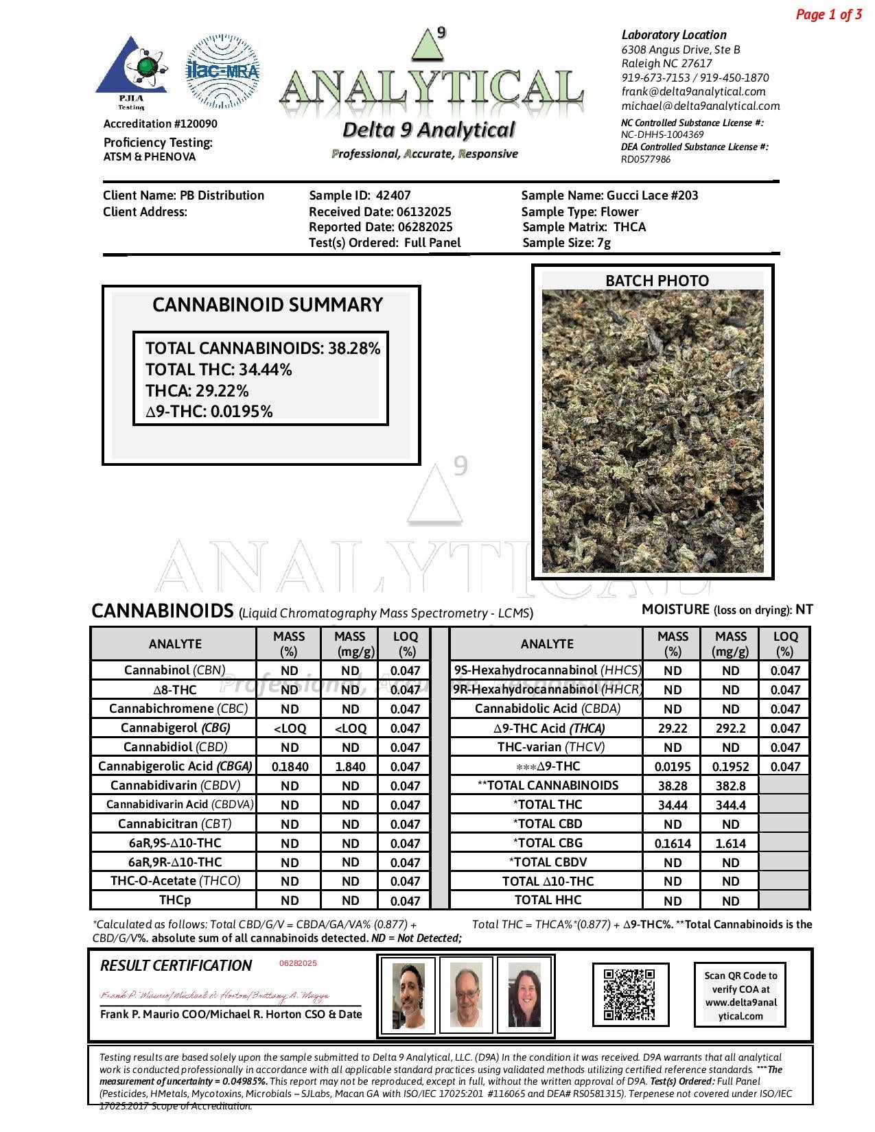 Gucci Lace #203 Shake