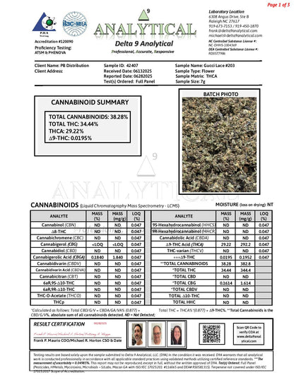 Gucci Lace #203 Shake