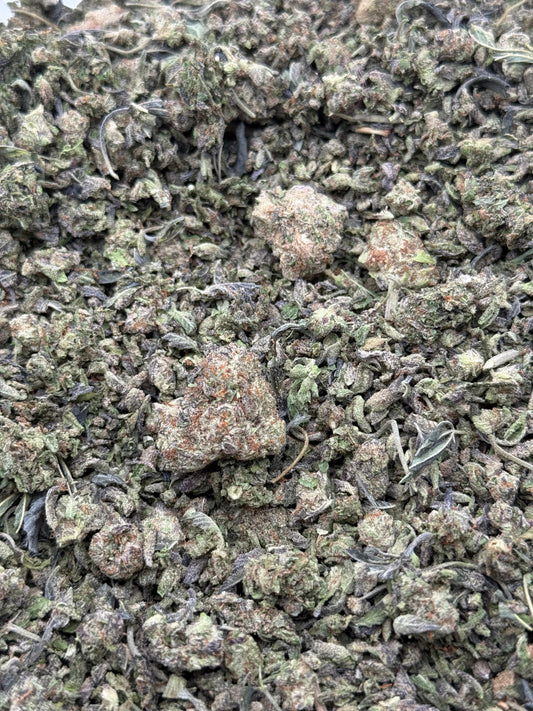 Hindu Kush Shake #64