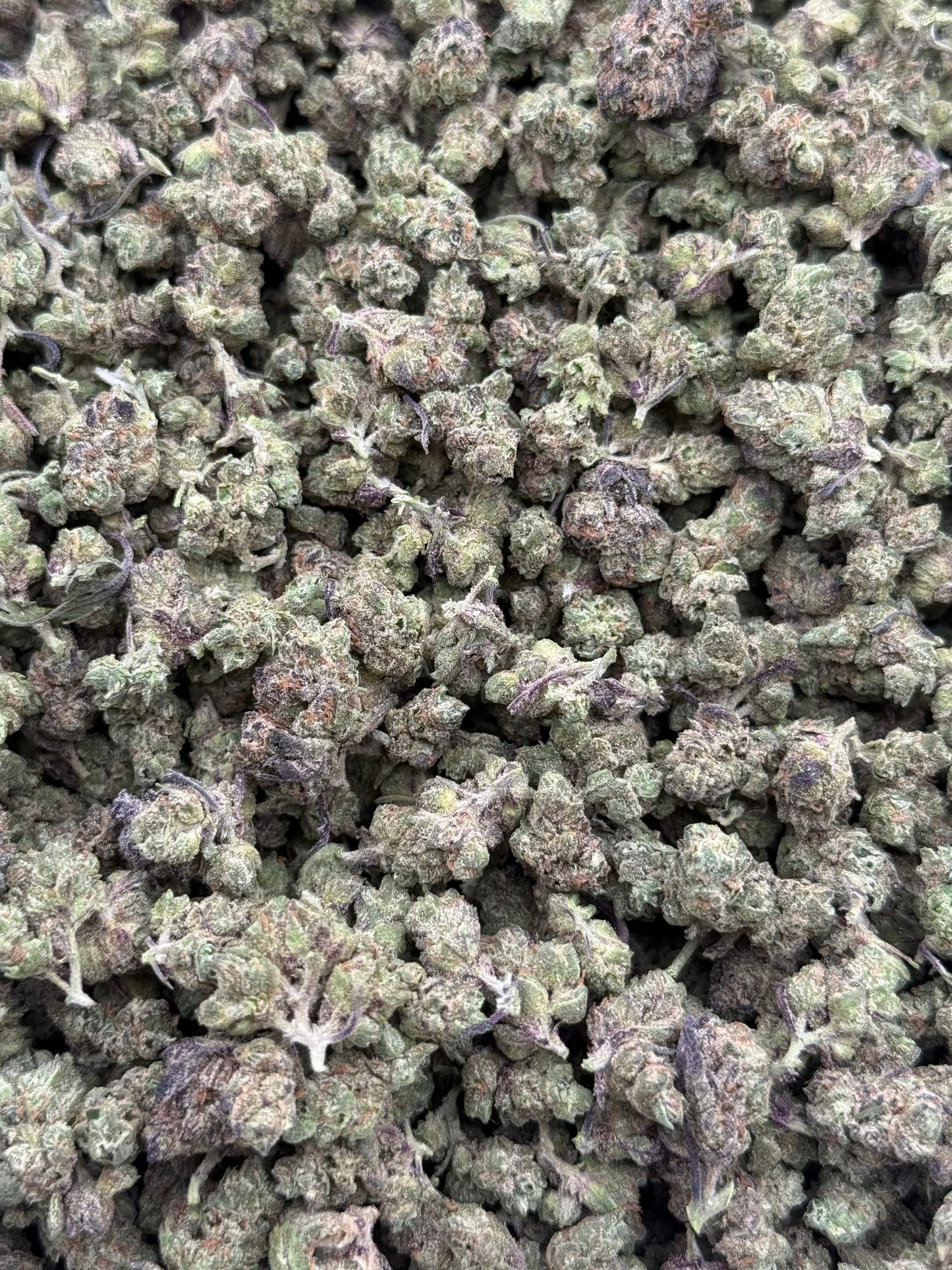Honey Pot #329 | QP