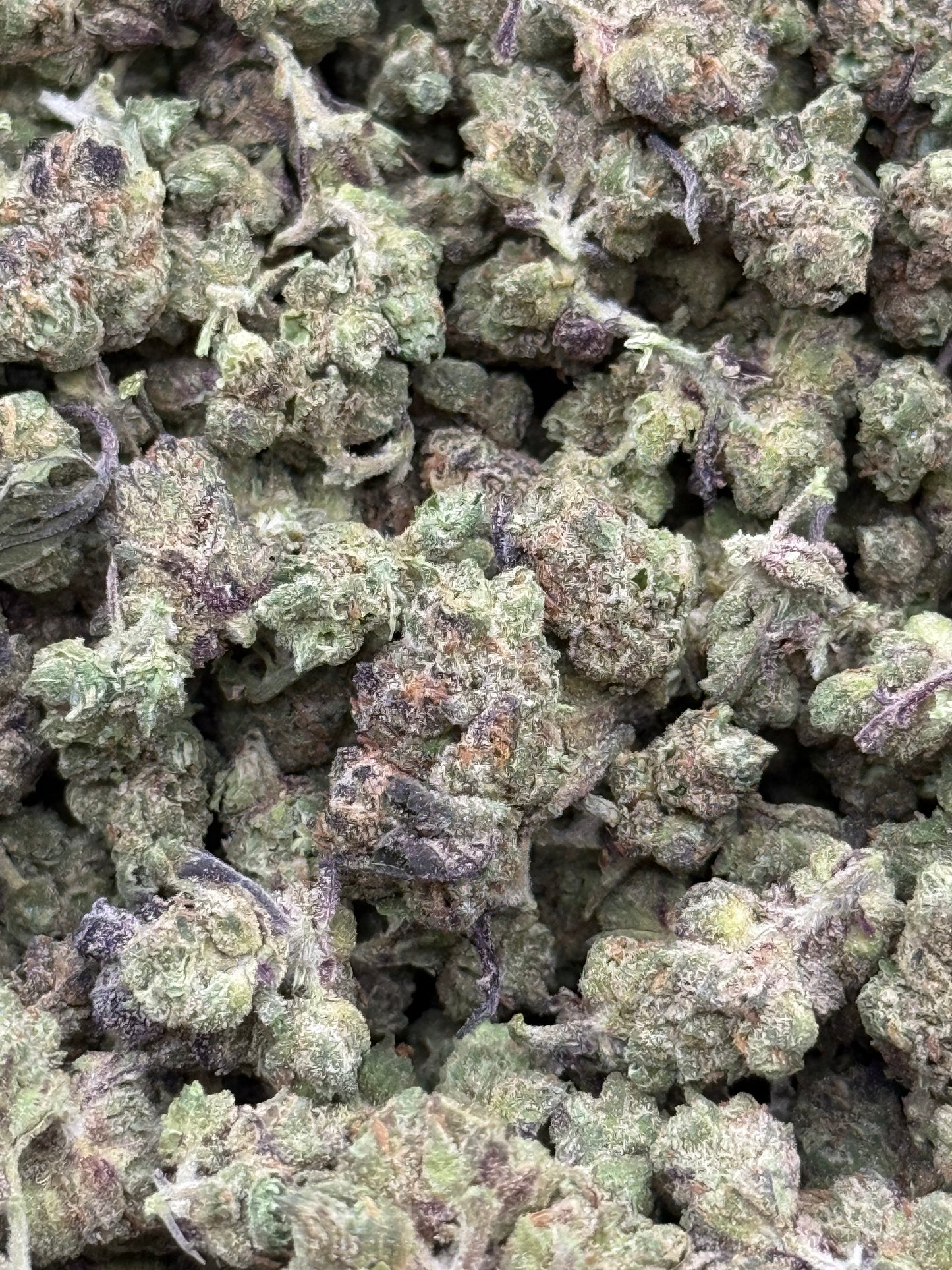 Honey Pot #329 | QP