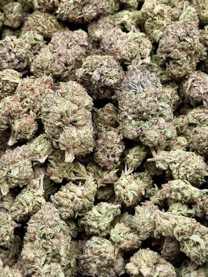 ICC #165