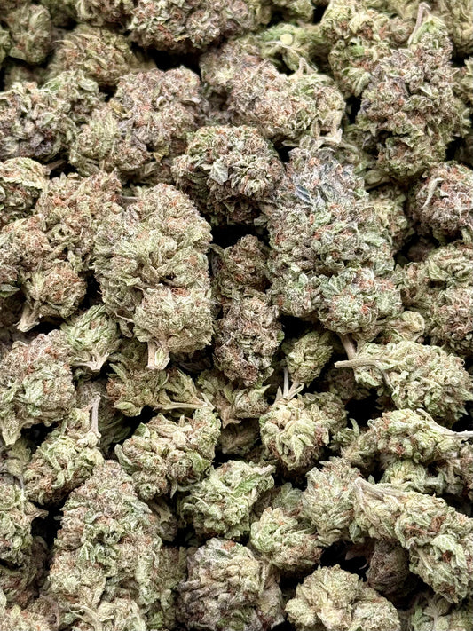 ICC #165