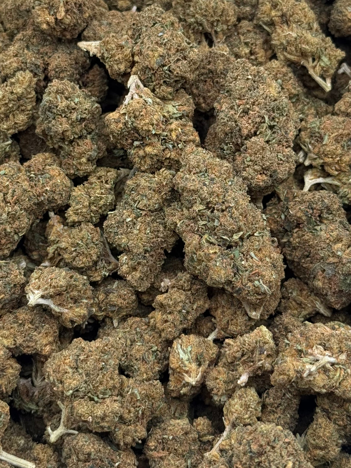 Jack Herrer #417