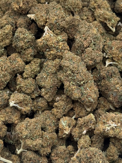 Jack Herrer #417