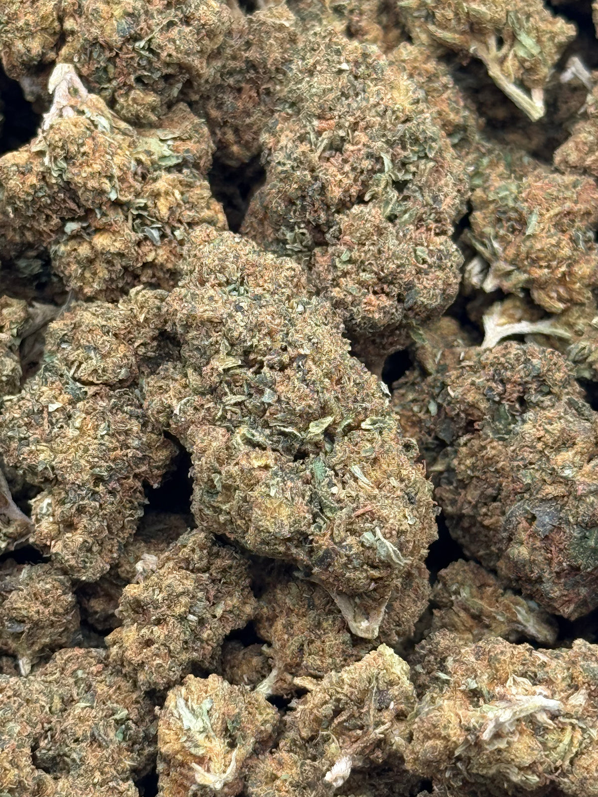 Jack Herrer #417