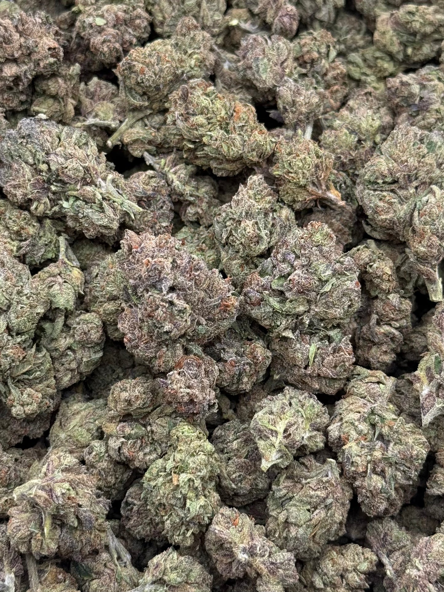 Jet Fuel #375 | 1/2 lb