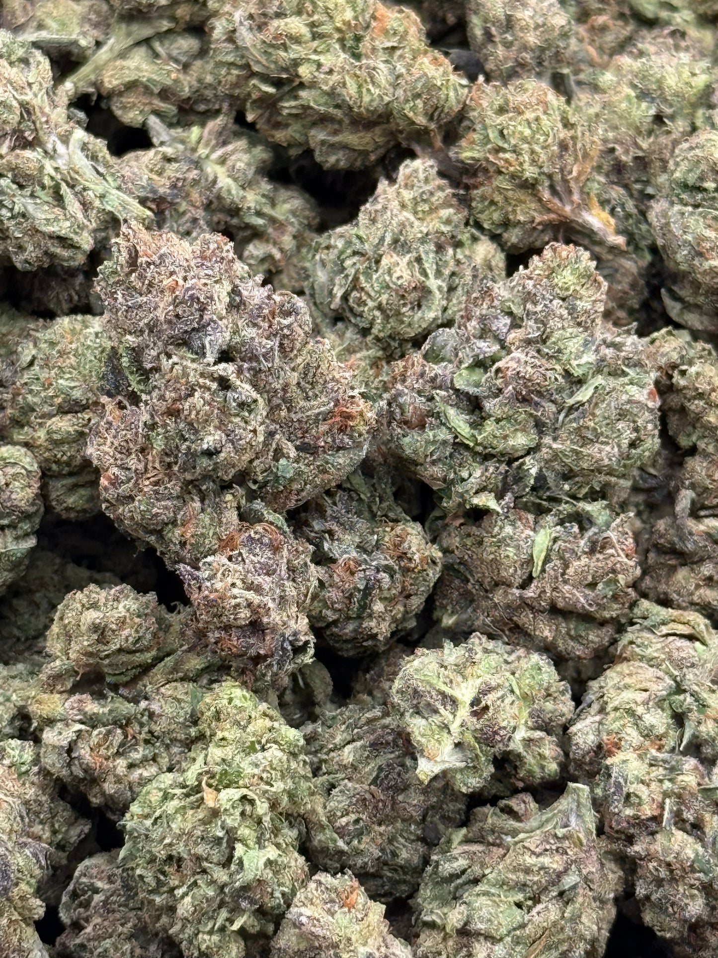 Jet Fuel #375 | 1/2 lb
