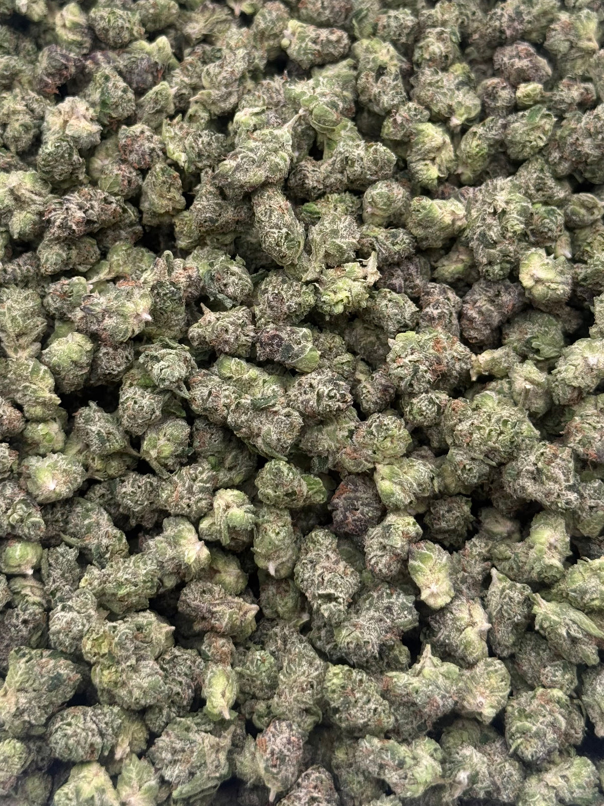 Jolly Rancher #556 | QP