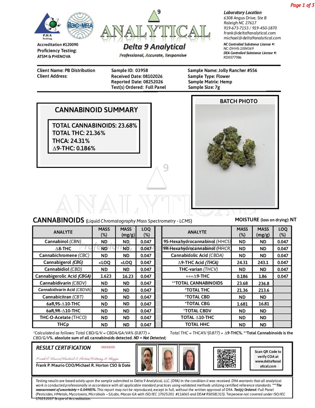 Jolly Rancher #556 | QP