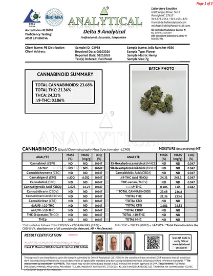 Jolly Rancher #556 | QP