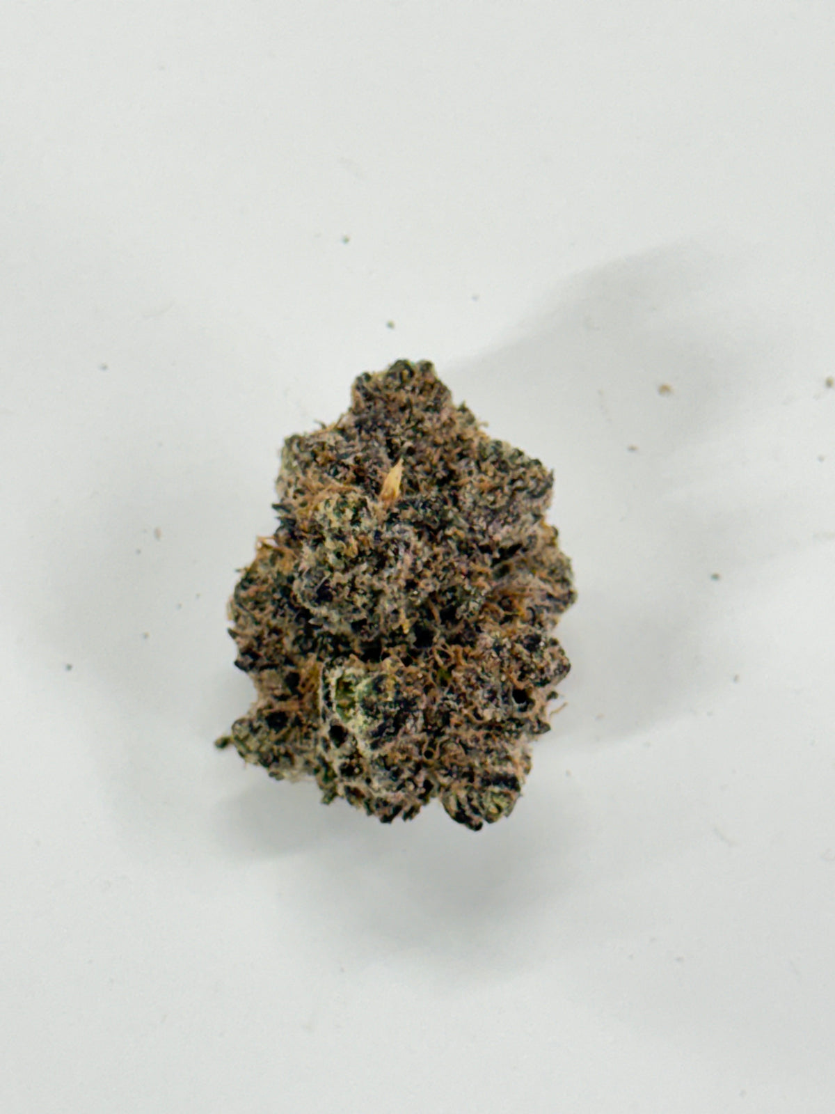 Jungle Juice #525 | 1/2 lb