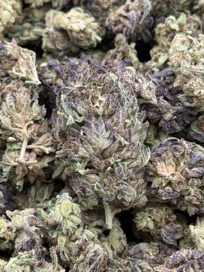 KOD #210