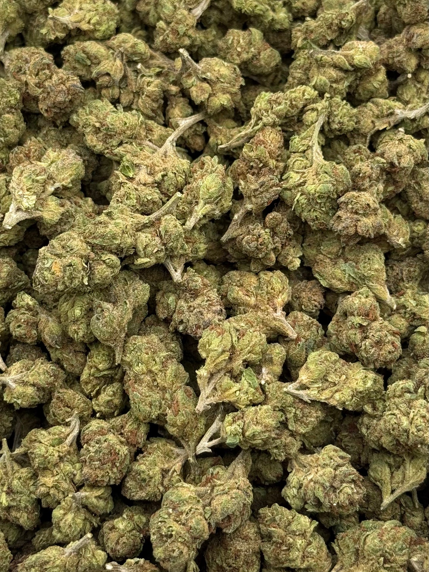 King Choppa #331 | QP