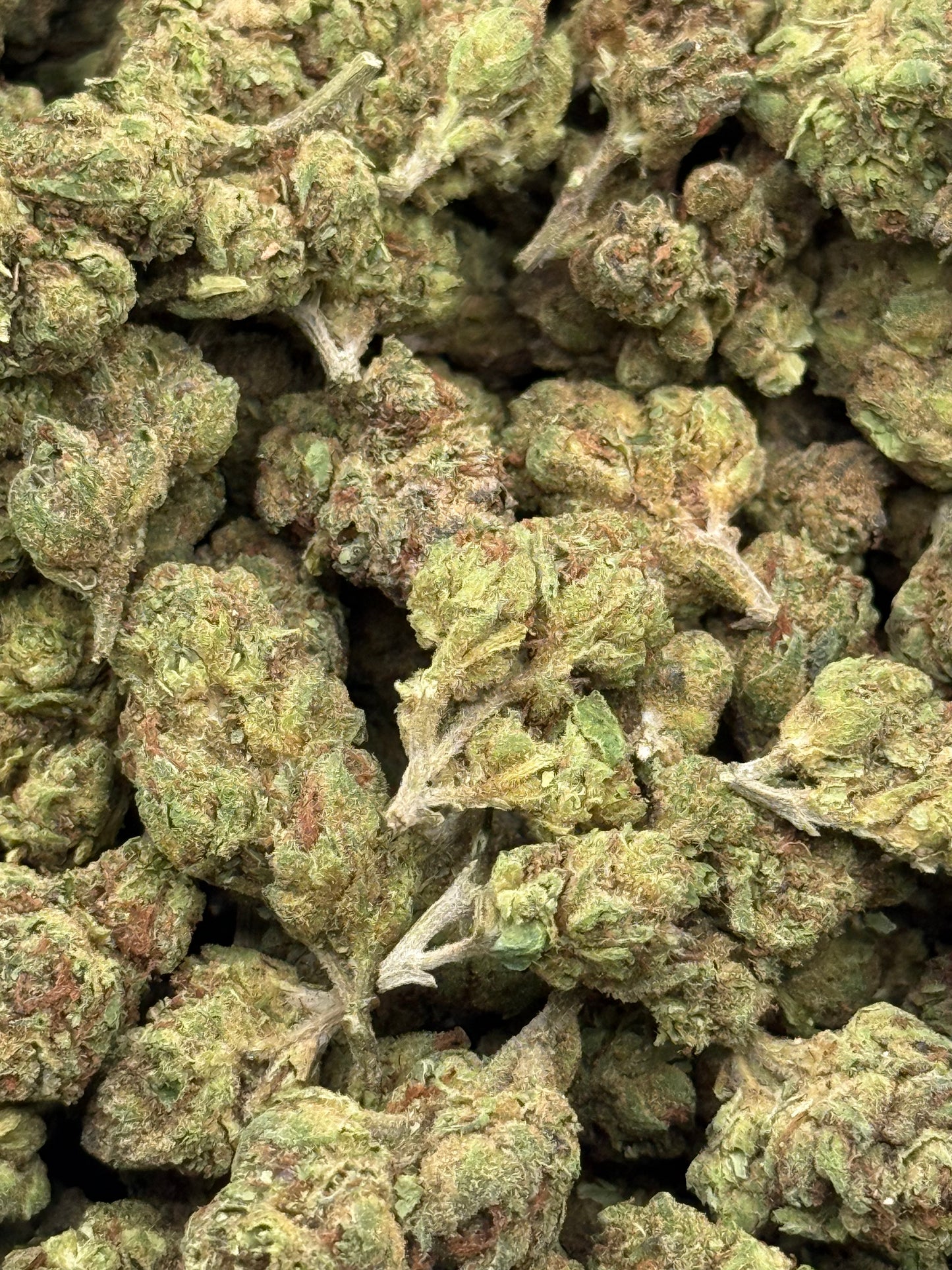 King Choppa #331 | QP