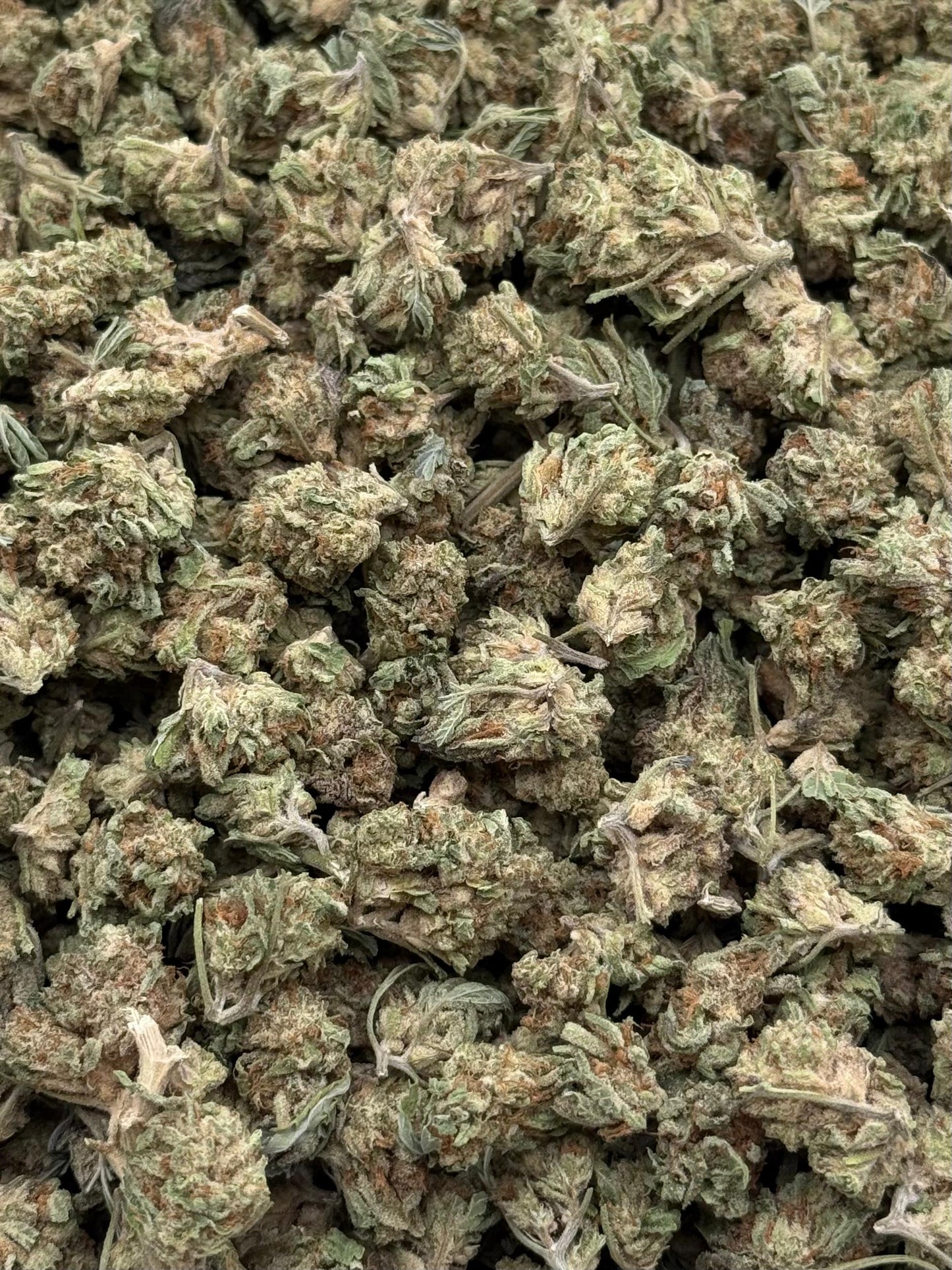 Kush Cake #231
