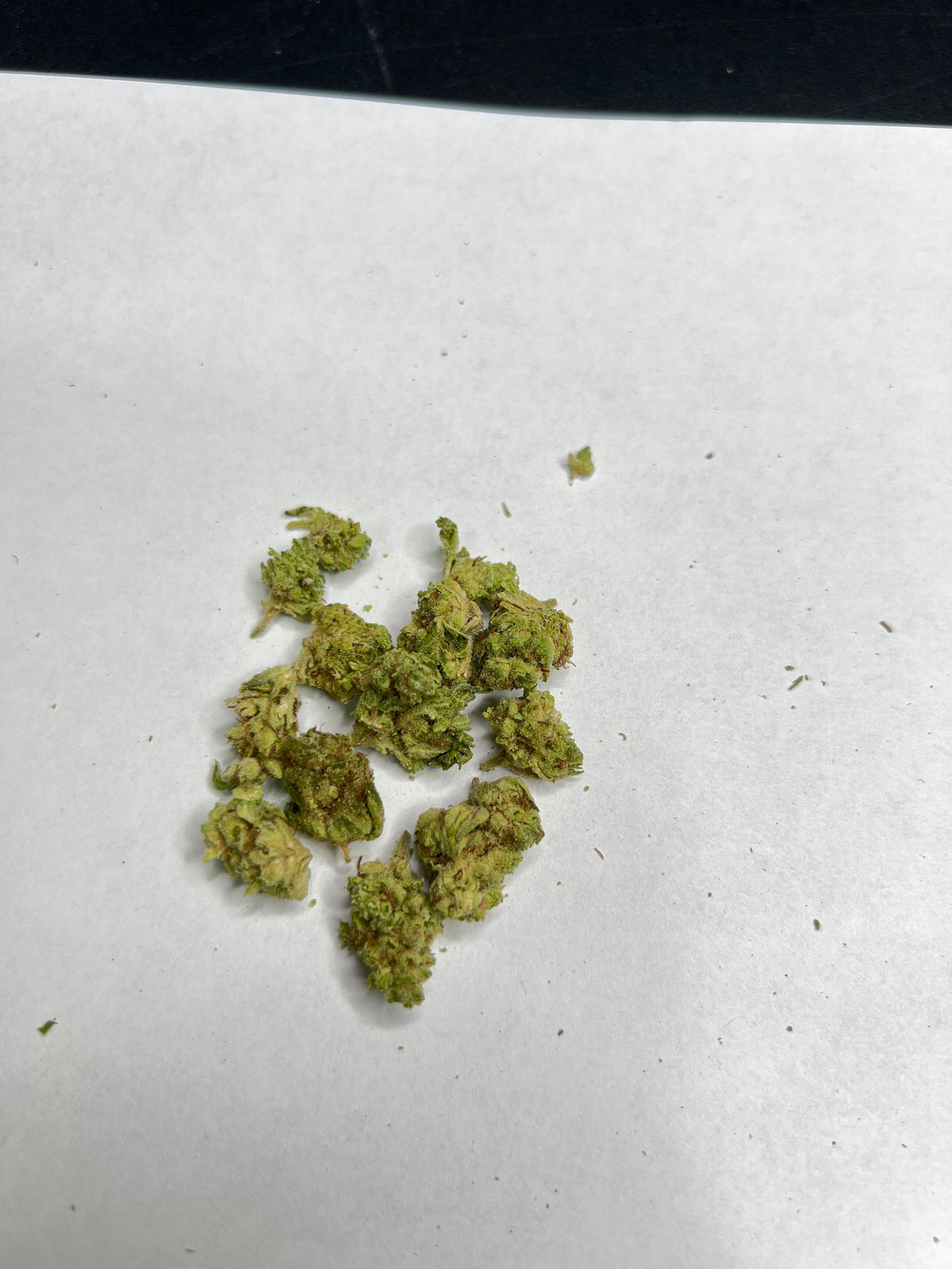Kushy Punch #468