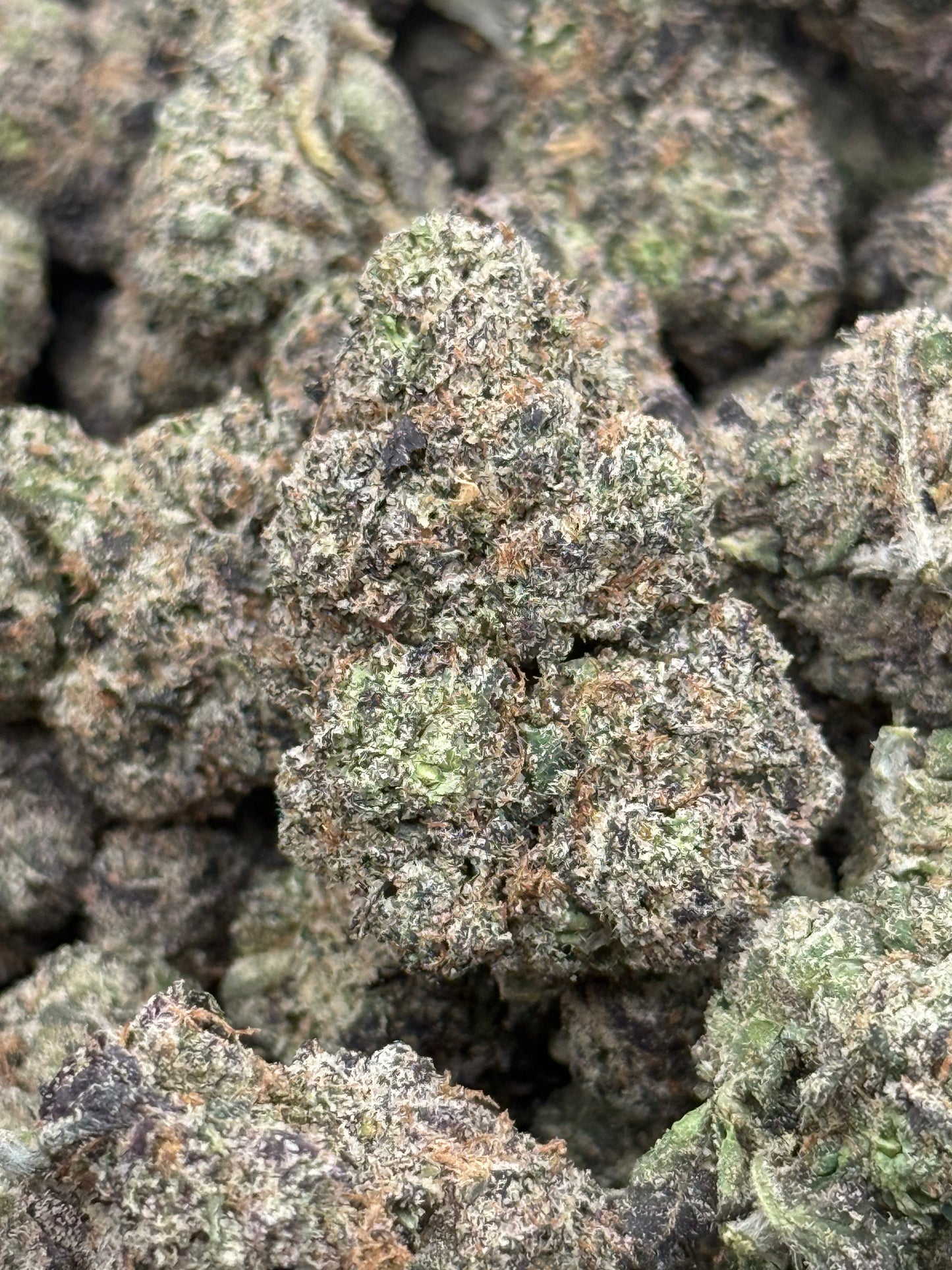 Lemon Cherries #350 | QP