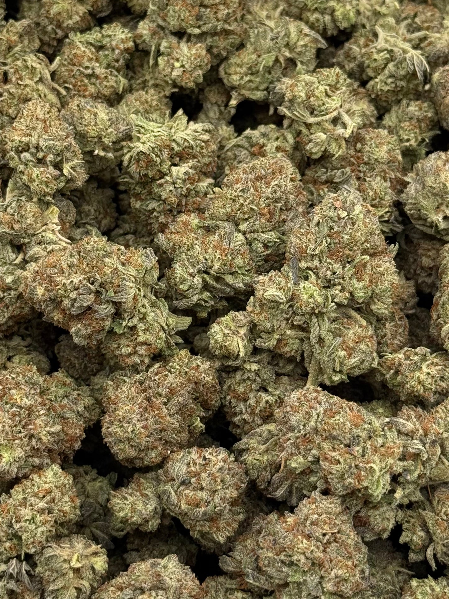 Lemon Drop #373 | QP