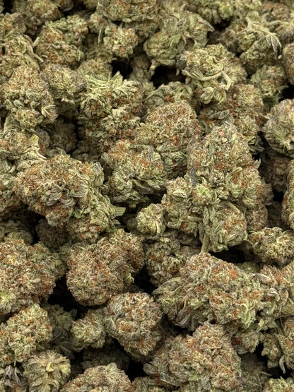 Lemon Drop #373 | QP