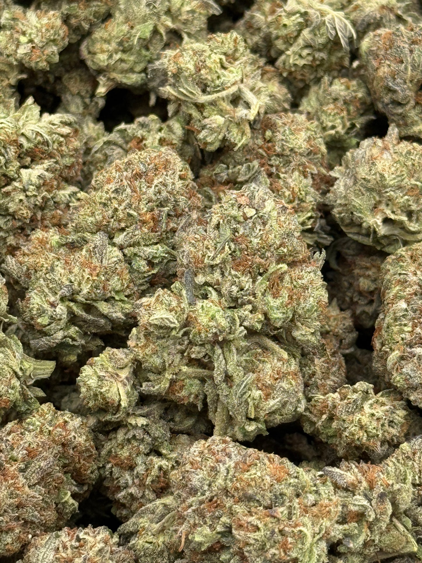 Lemon Drop #373 | QP