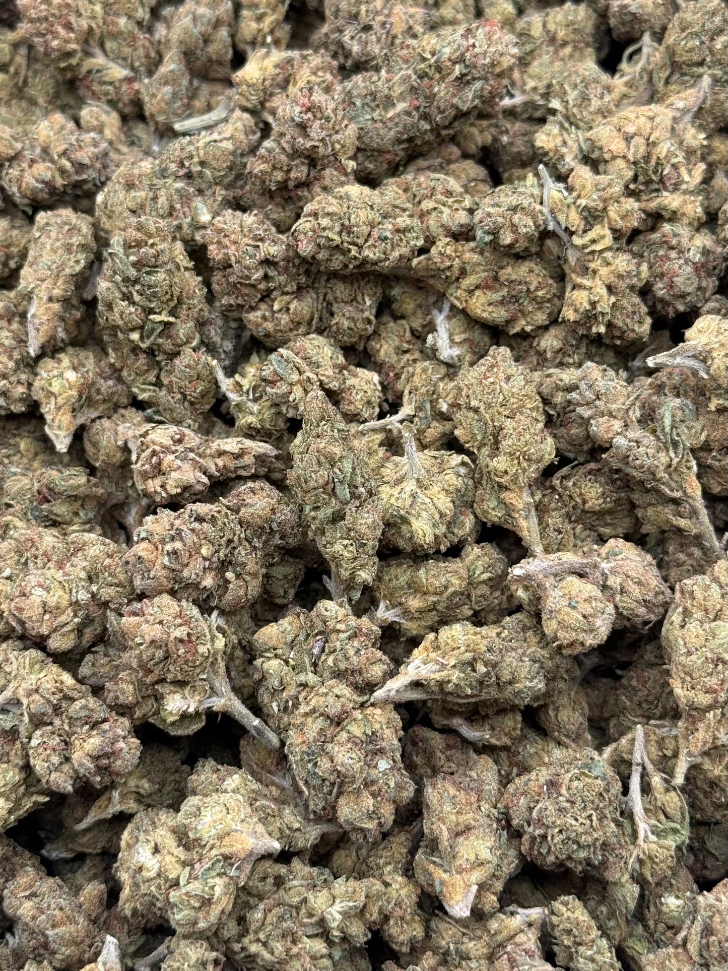 Lemon Gas #337 | QP