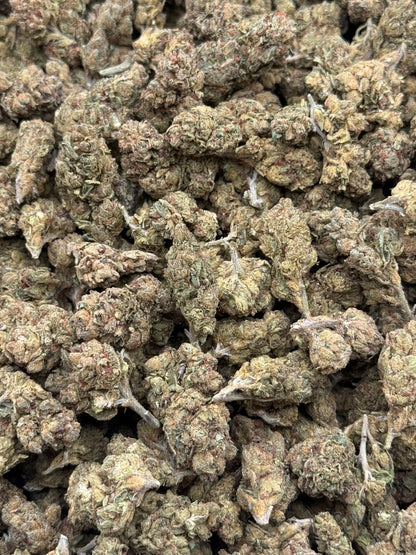 Lemon Gas #337 | QP