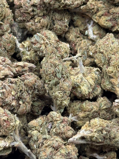 Lemon Gas #337 | QP