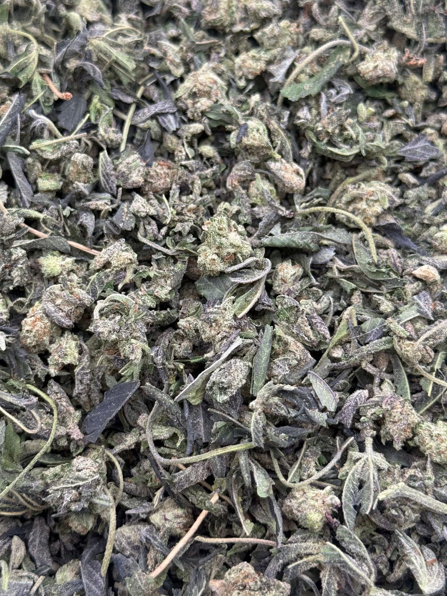 Lions Breath #359 Shake