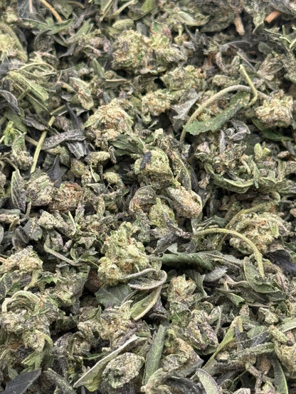 Lions Breath #359 Shake