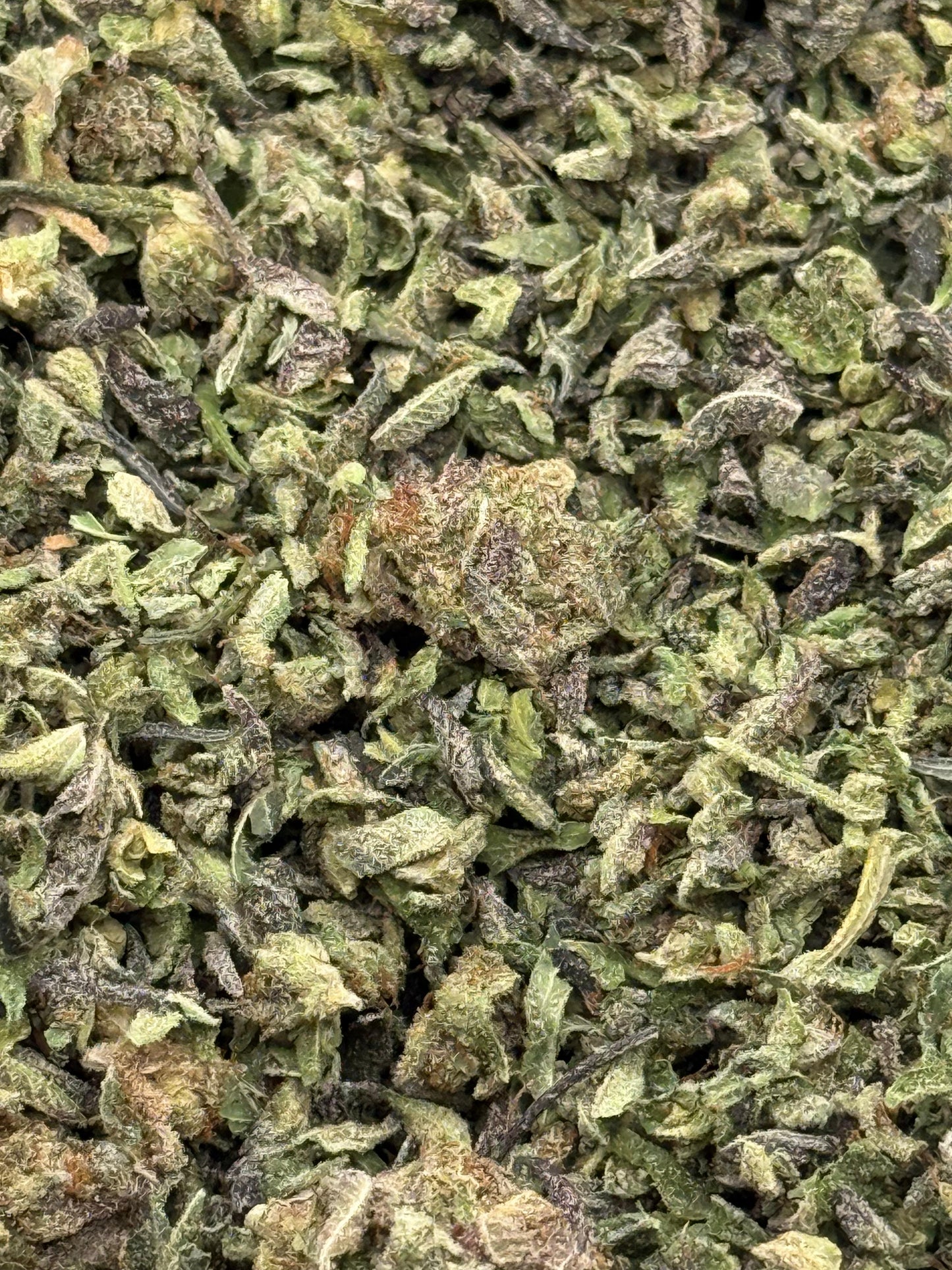 Lucky Charms #191 Shake