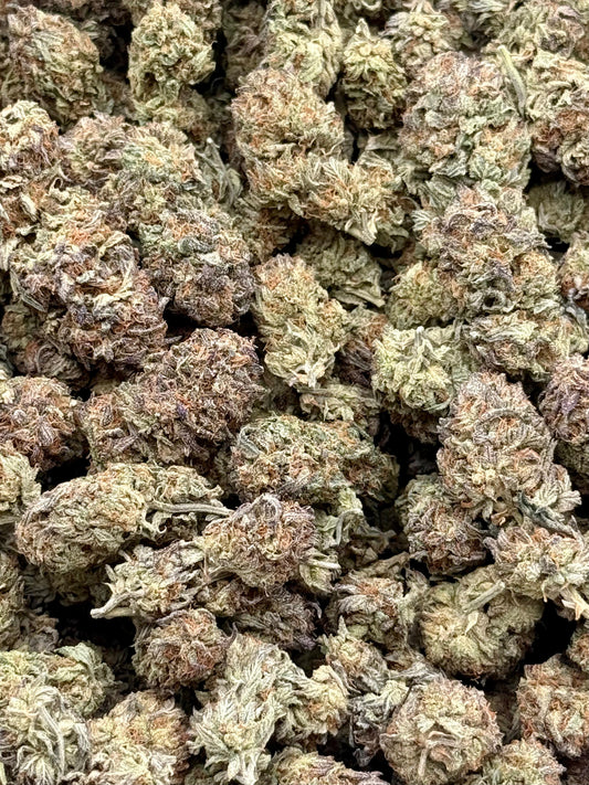 Malibu Ice #176