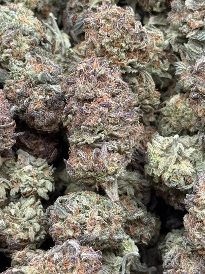 Malibu Ice #176