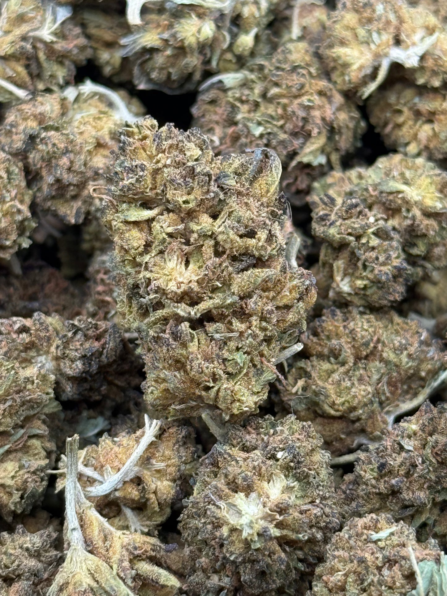 Master Kush #414
