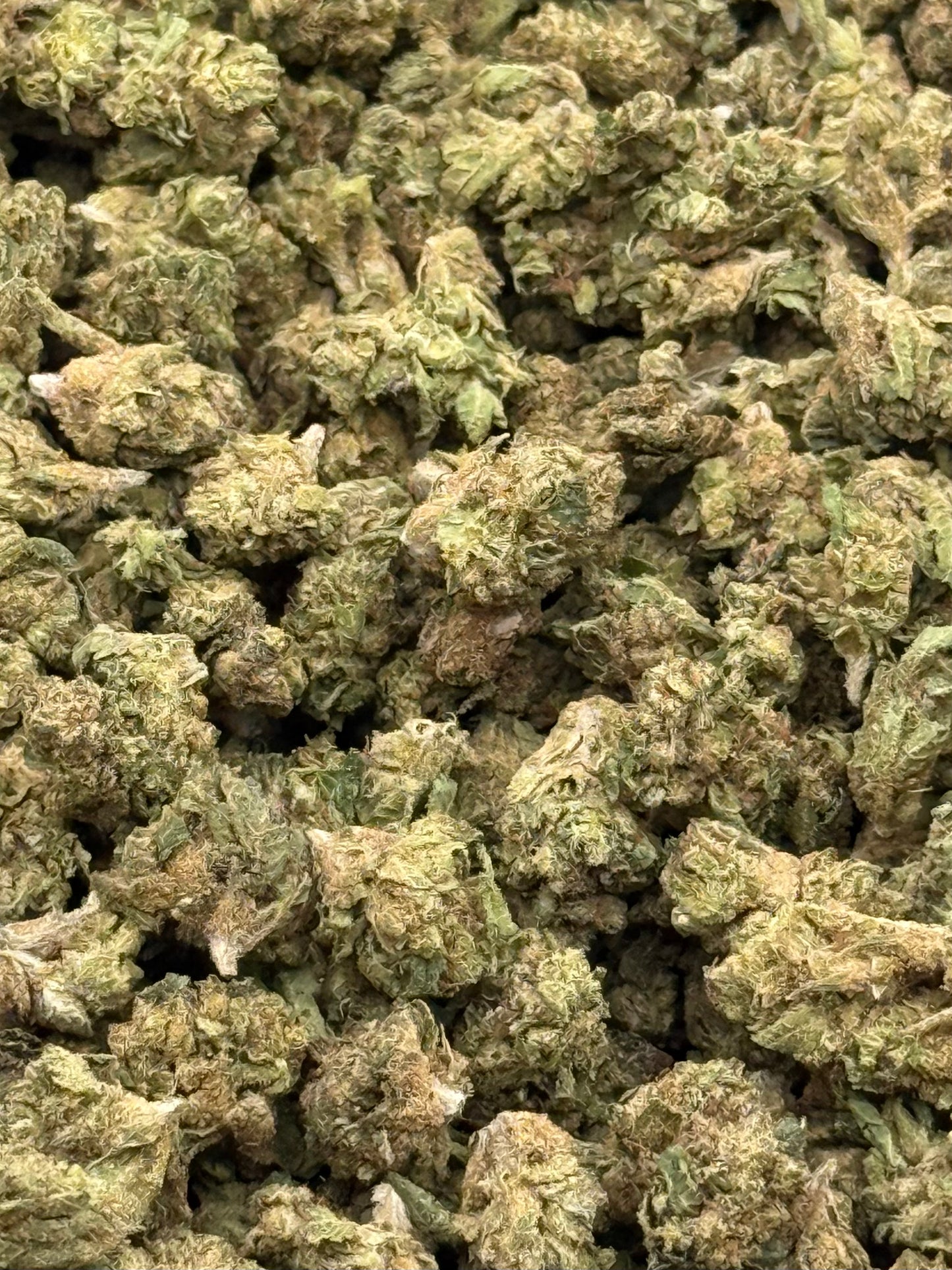 Master Yoda #265