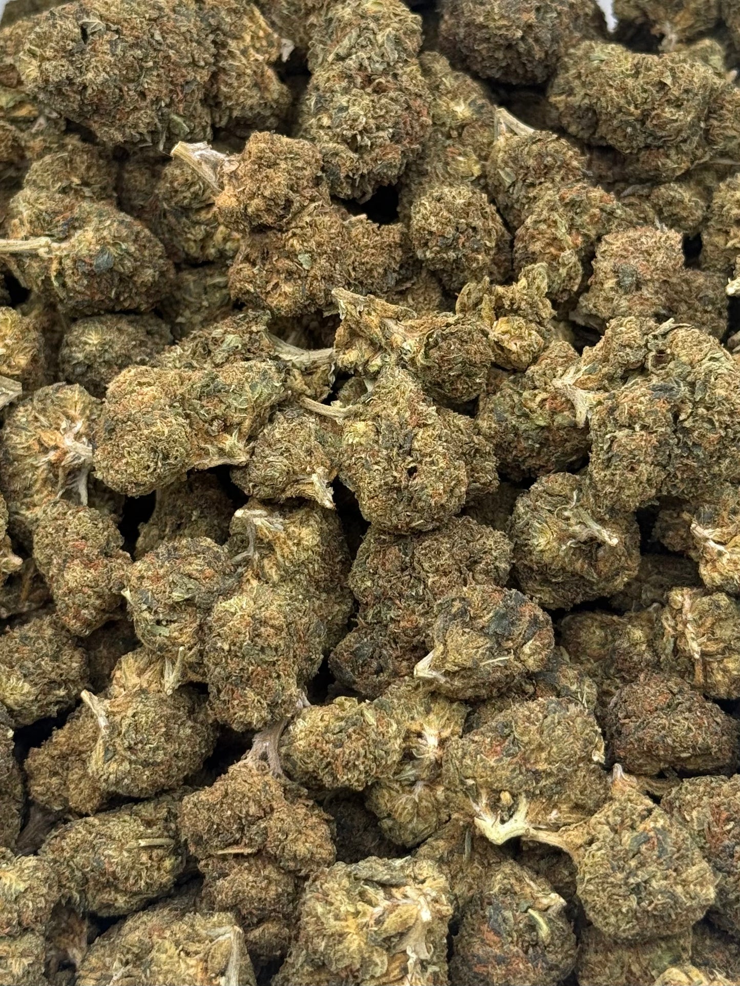 Maui Wowie #443