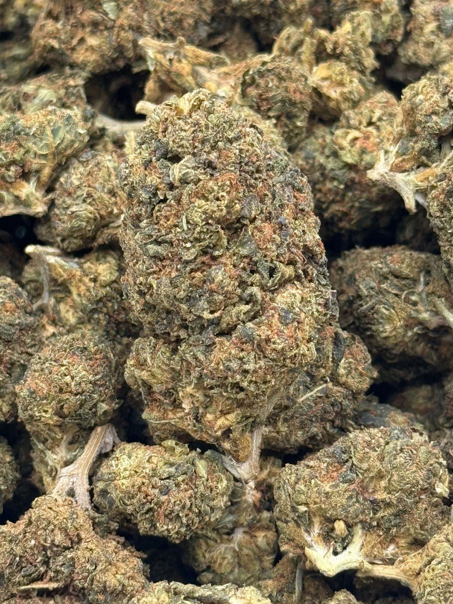 Maui Wowie #443