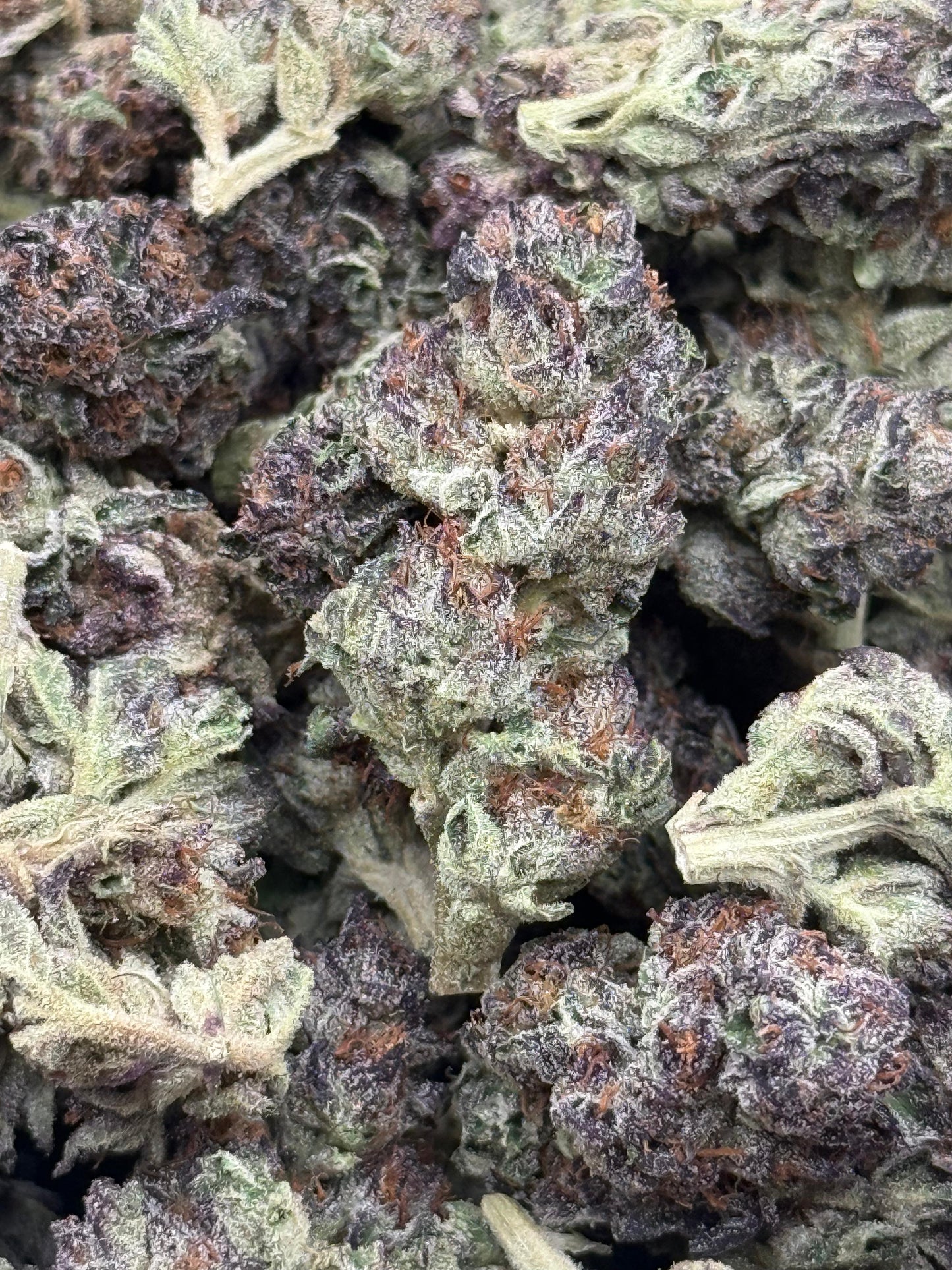 Mean Panda #174