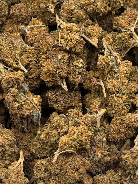 Melon Head #438