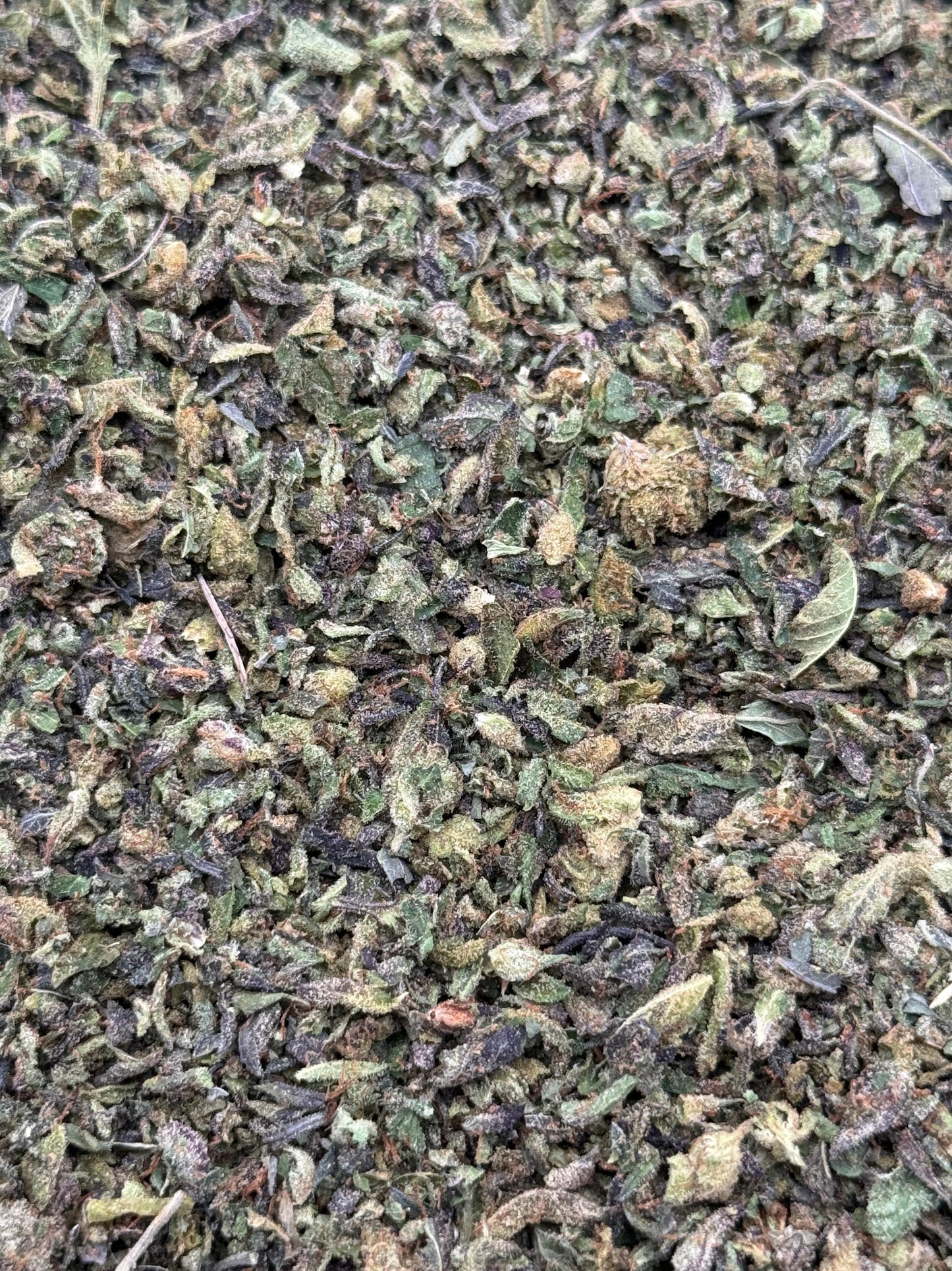 Midnight Kush #195 Shake