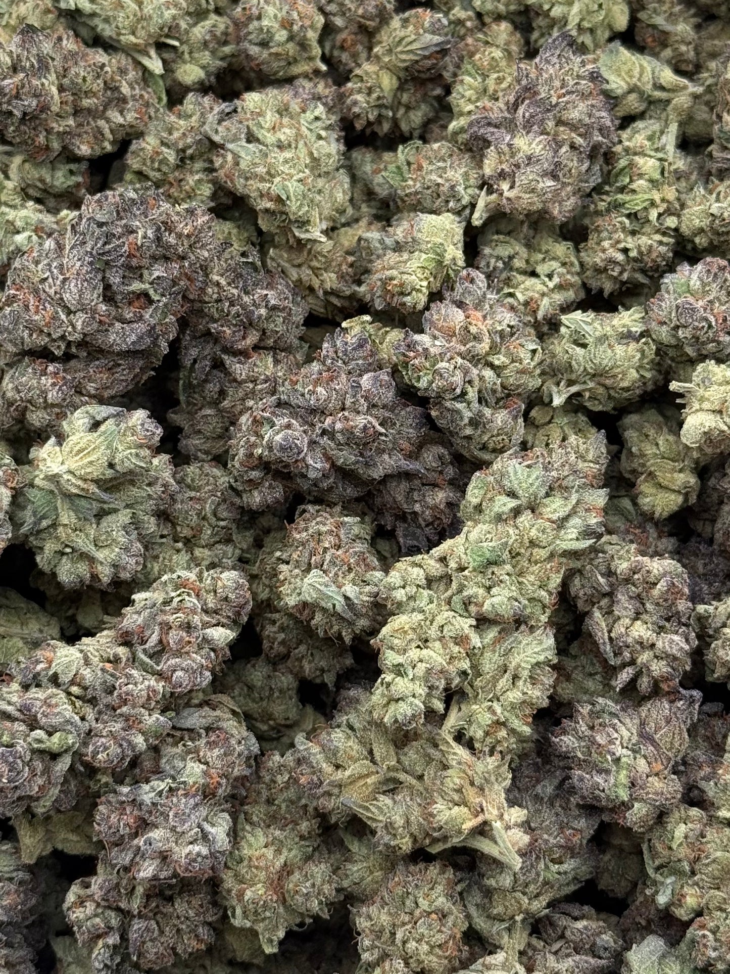 Milky Way #374 | QP