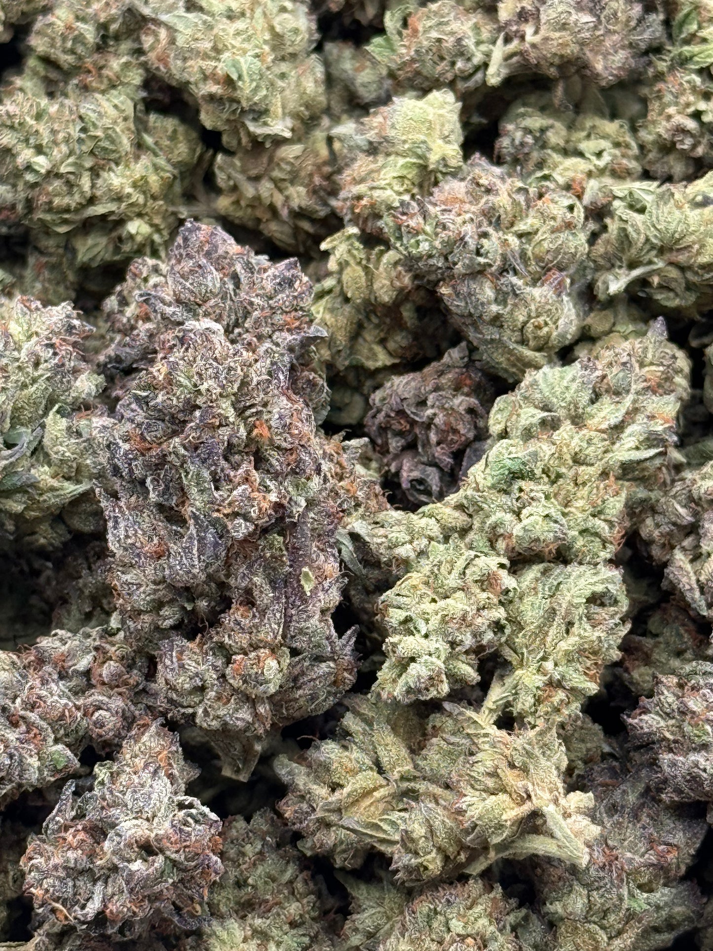 Milky Way #374 | QP