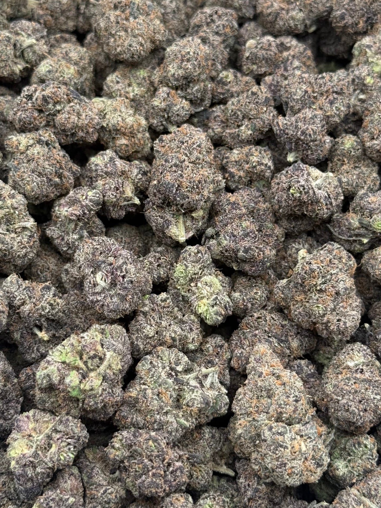 Mofo Land #271 | 1/2 lb