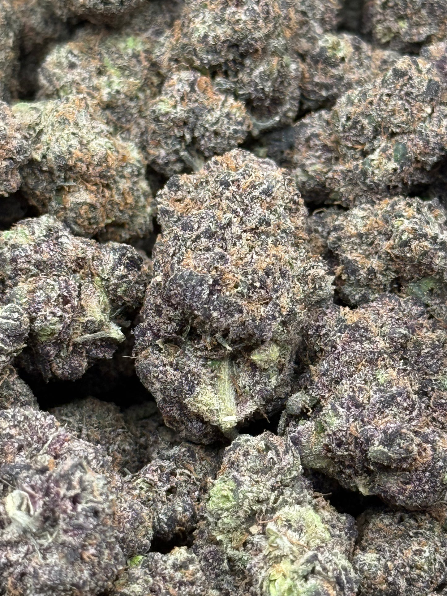 Mofo Land #271 | 1/2 lb